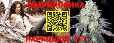 прущие крисы Заволжье