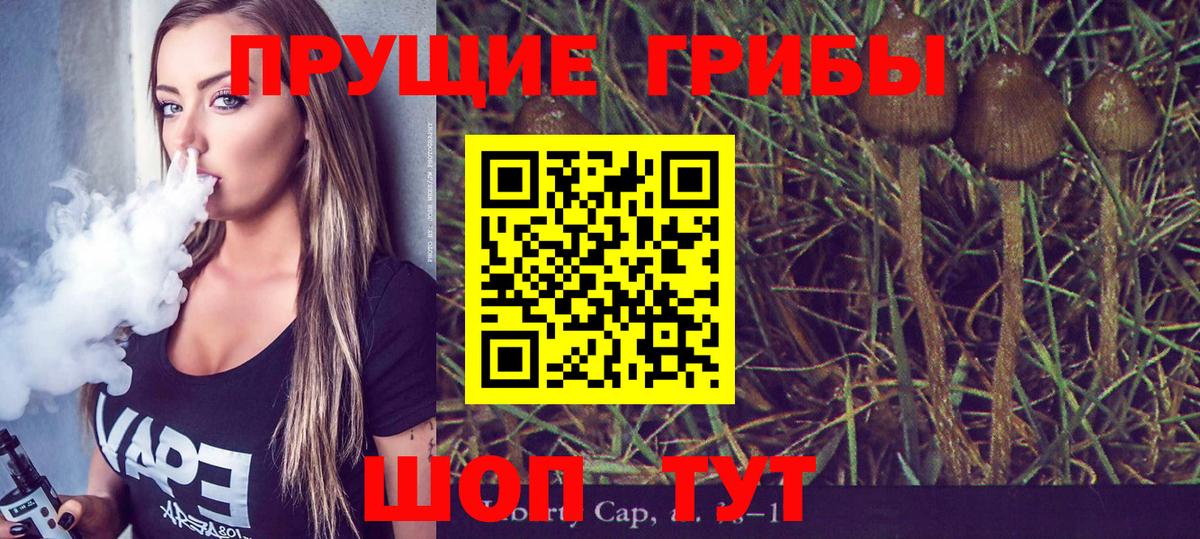 Галлюциногенные грибы GOLDEN TEACHER  Вход с VPN  Псилоцибиновые грибы Psilocybe  Малгобек 
